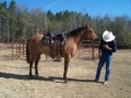 Horses For Sale